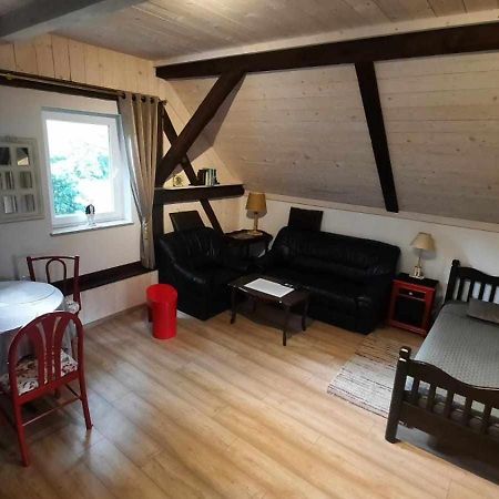 Apartament Jelen W Smokingu Sulow  Extérieur photo
